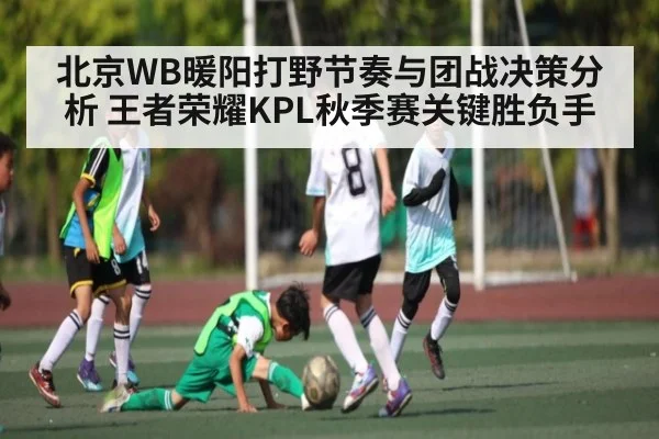 北京WB暖阳打野节奏与团战决策分析 王者荣耀KPL秋季赛关键胜负手